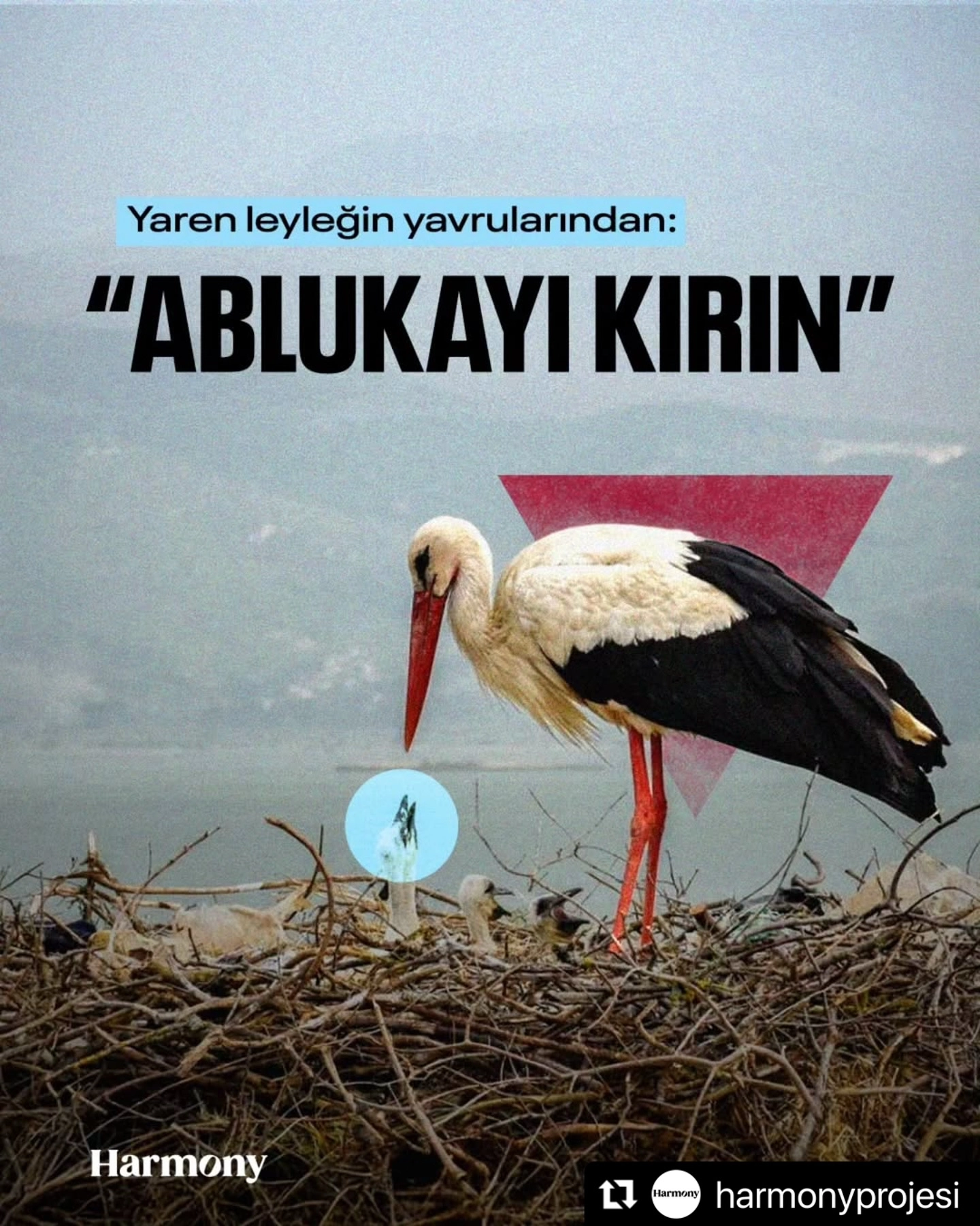 ‘Ablukayı Kaldırın’
