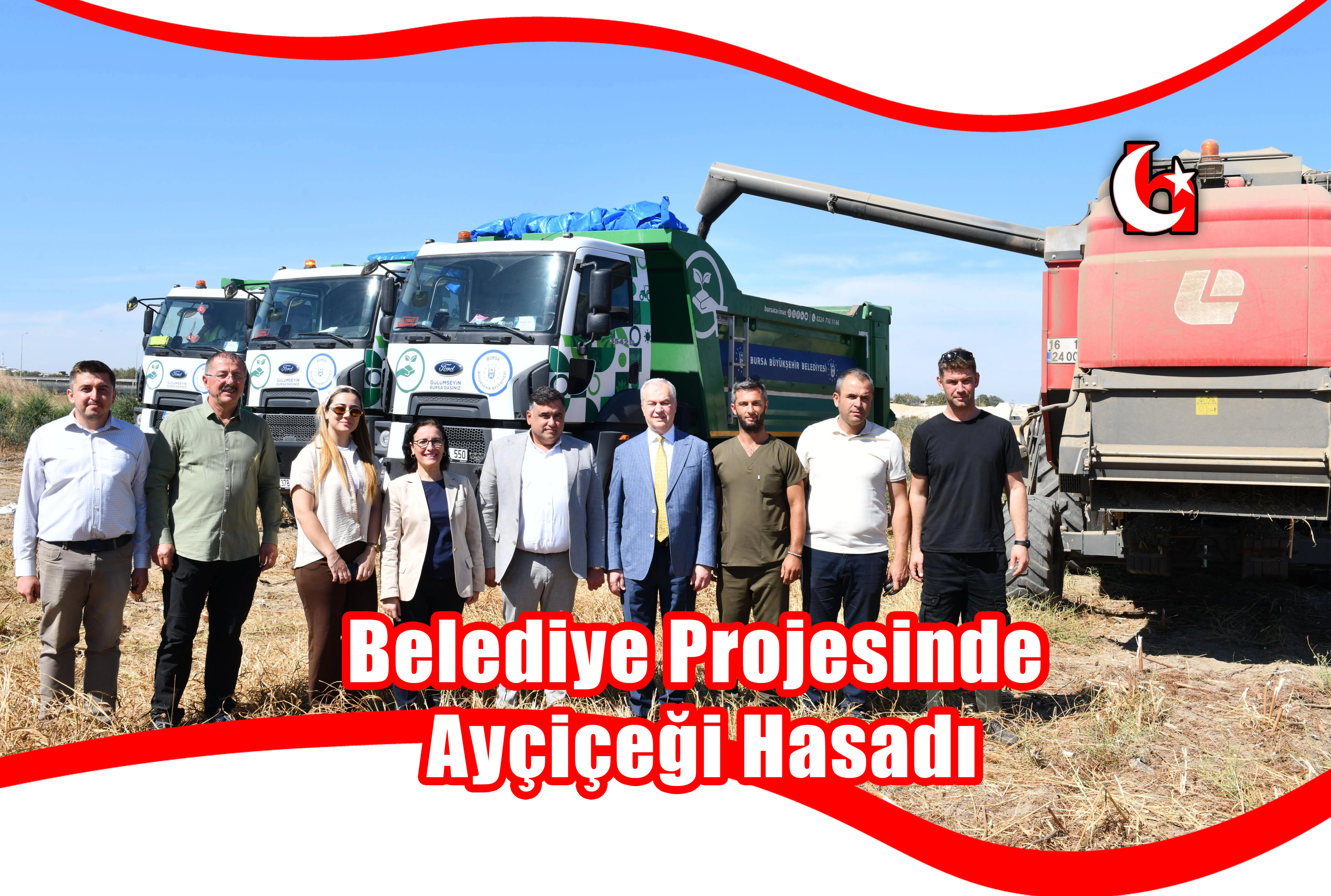 Belediye Projesinde Ayçiçeği Hasadı