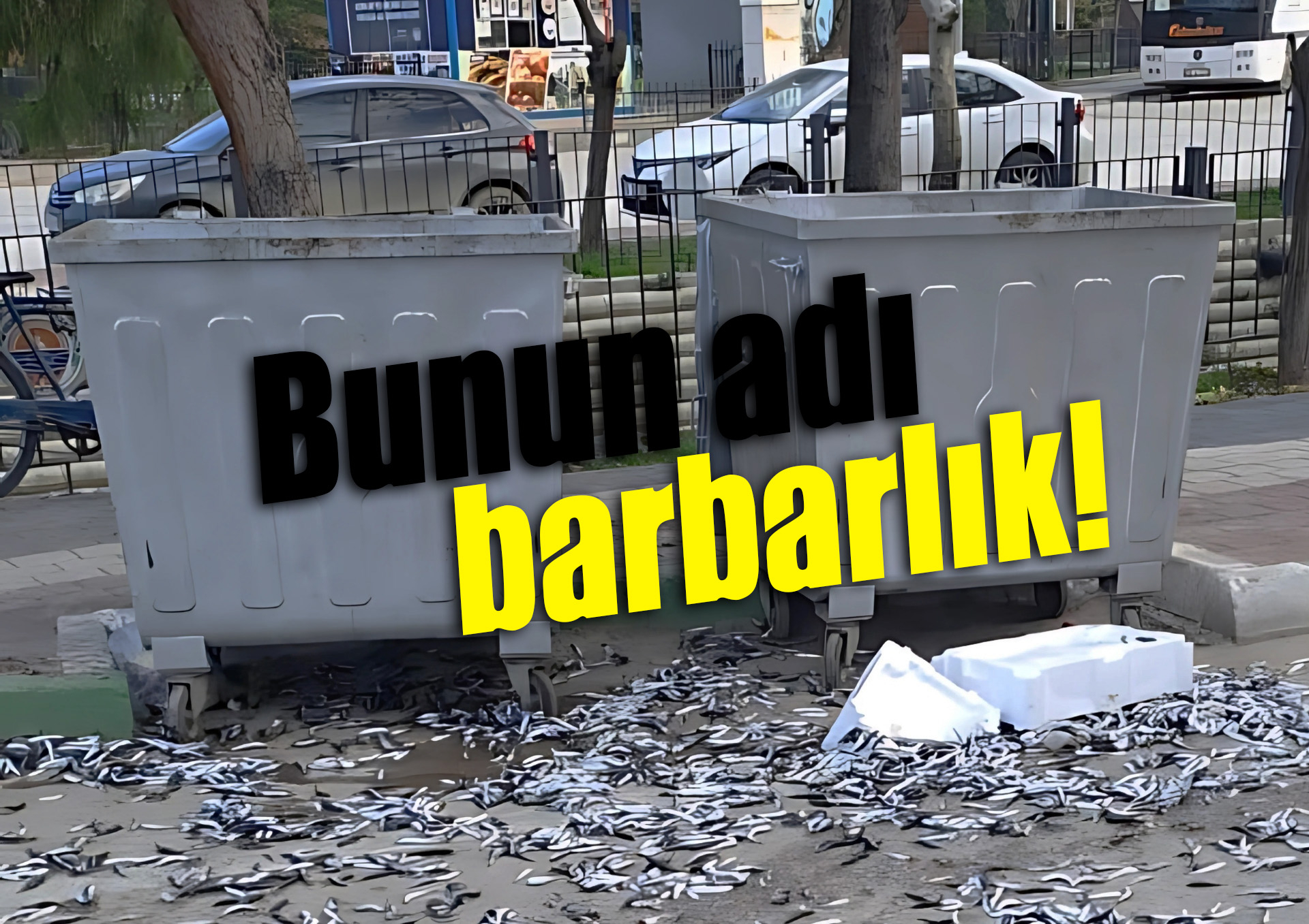 Bunun adı barbarlık!