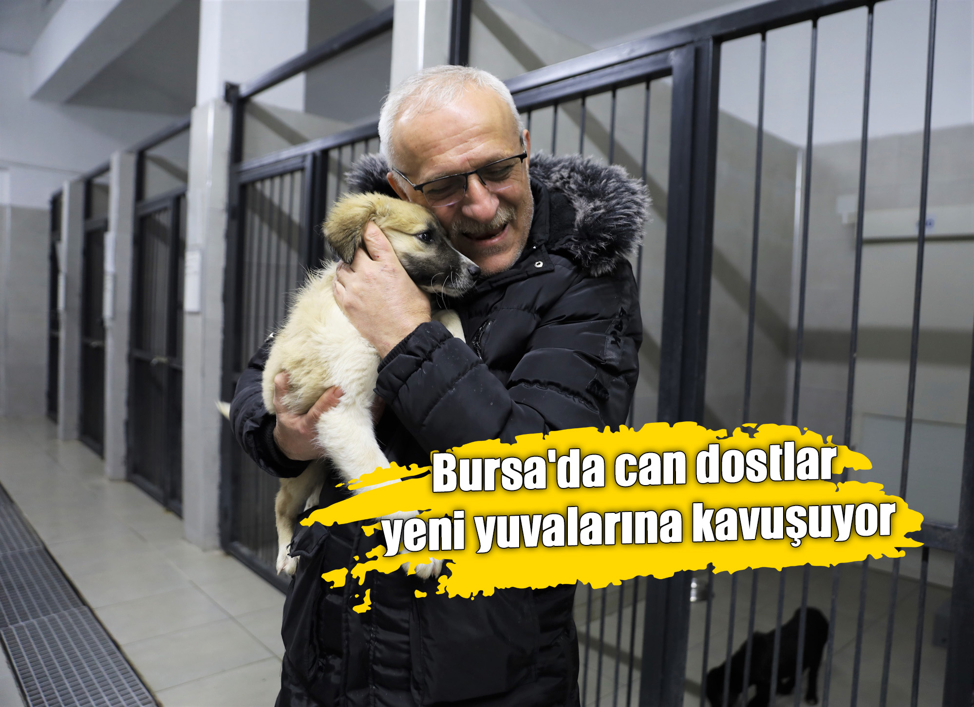  Bursa'da can dostlar yeni yuvalarına kavuşuyor