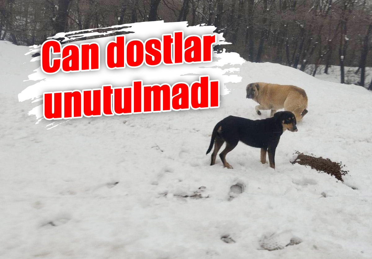 Can dostlar unutulmadı