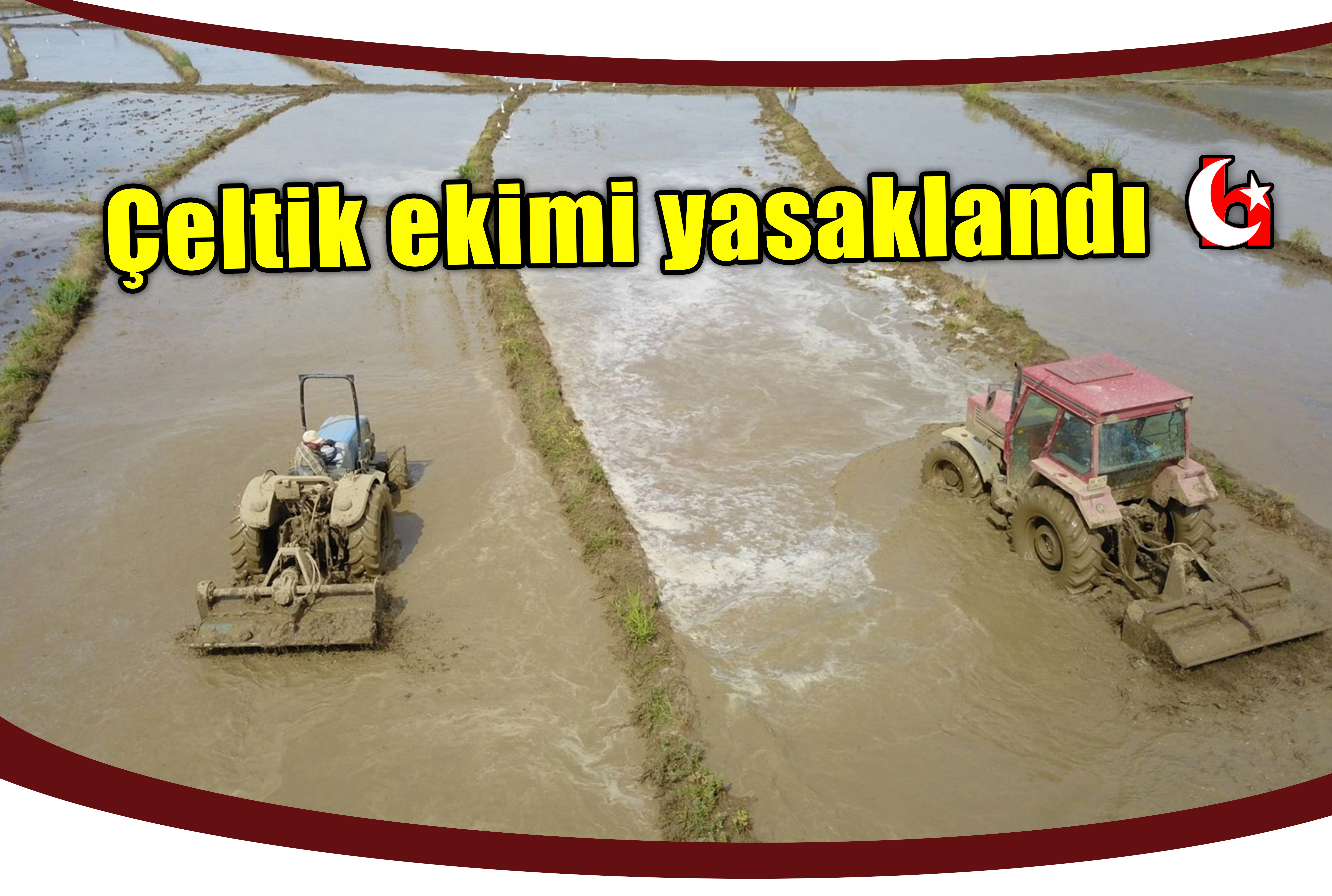 Çeltik ekimi yasaklandı