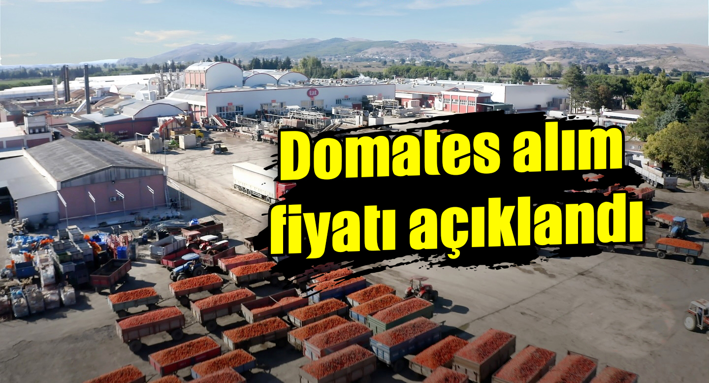 Domates alım fiyatı açıklandı