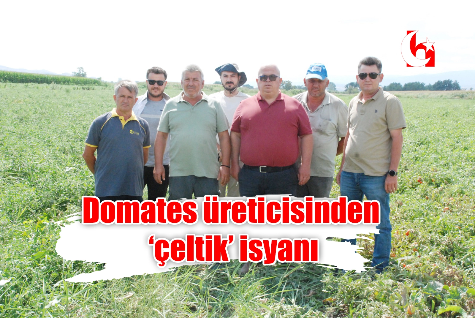 Domates üreticisinden ‘çeltik’ isyanı