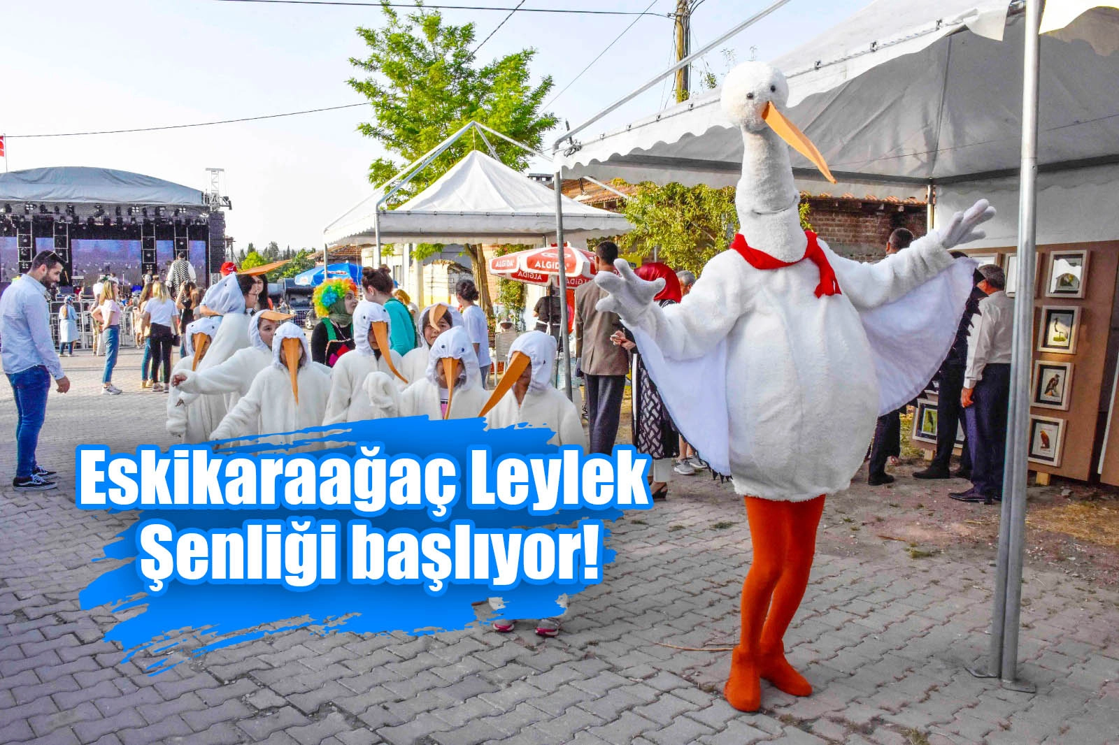 Eskikaraağaç Leylek Şenliği başlıyor!