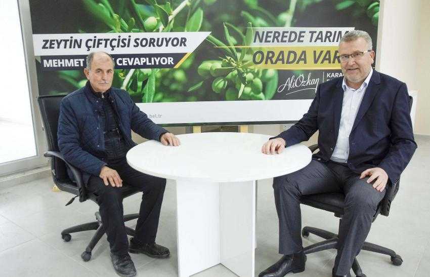 Zeytinde yaz takvimi, zeytin &uuml;reticilerine katkı sağlayacak