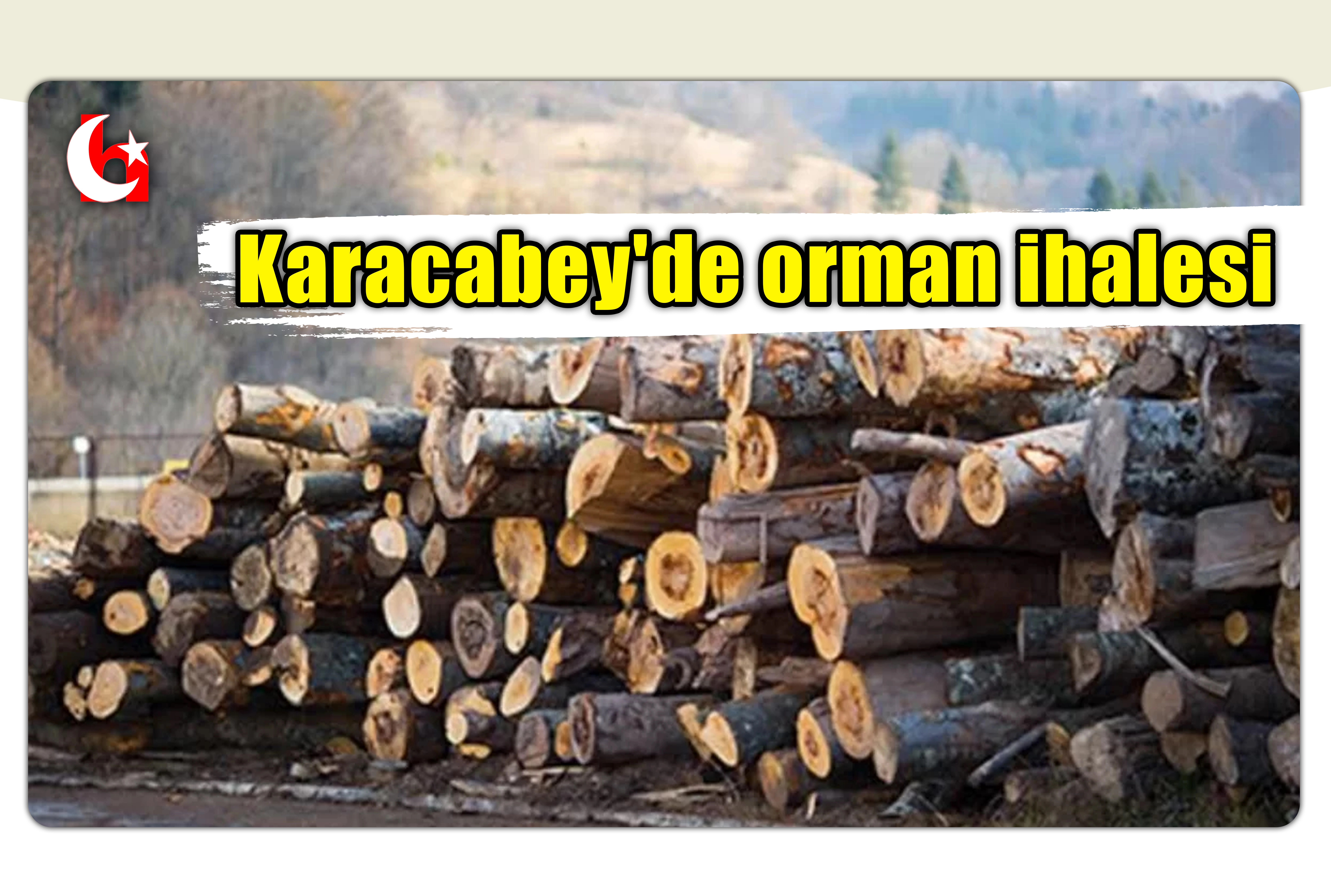Karacabey'de orman ihalesi