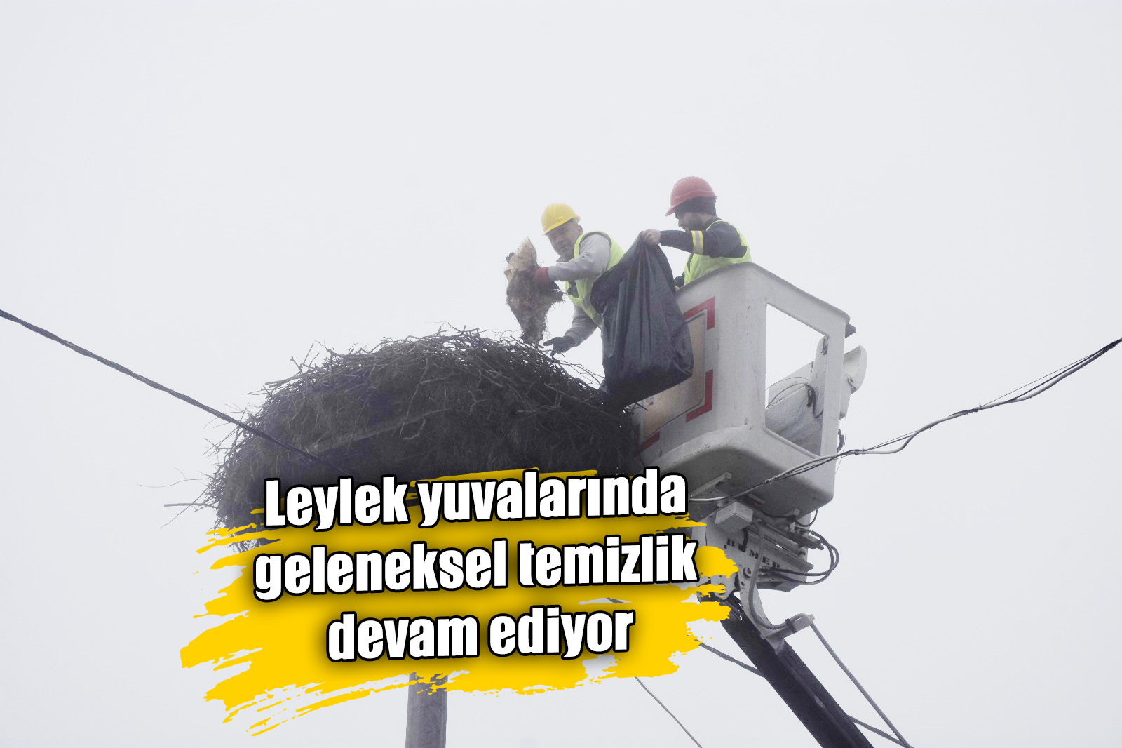 Leylek yuvalarında  geleneksel temizlik devam ediyor