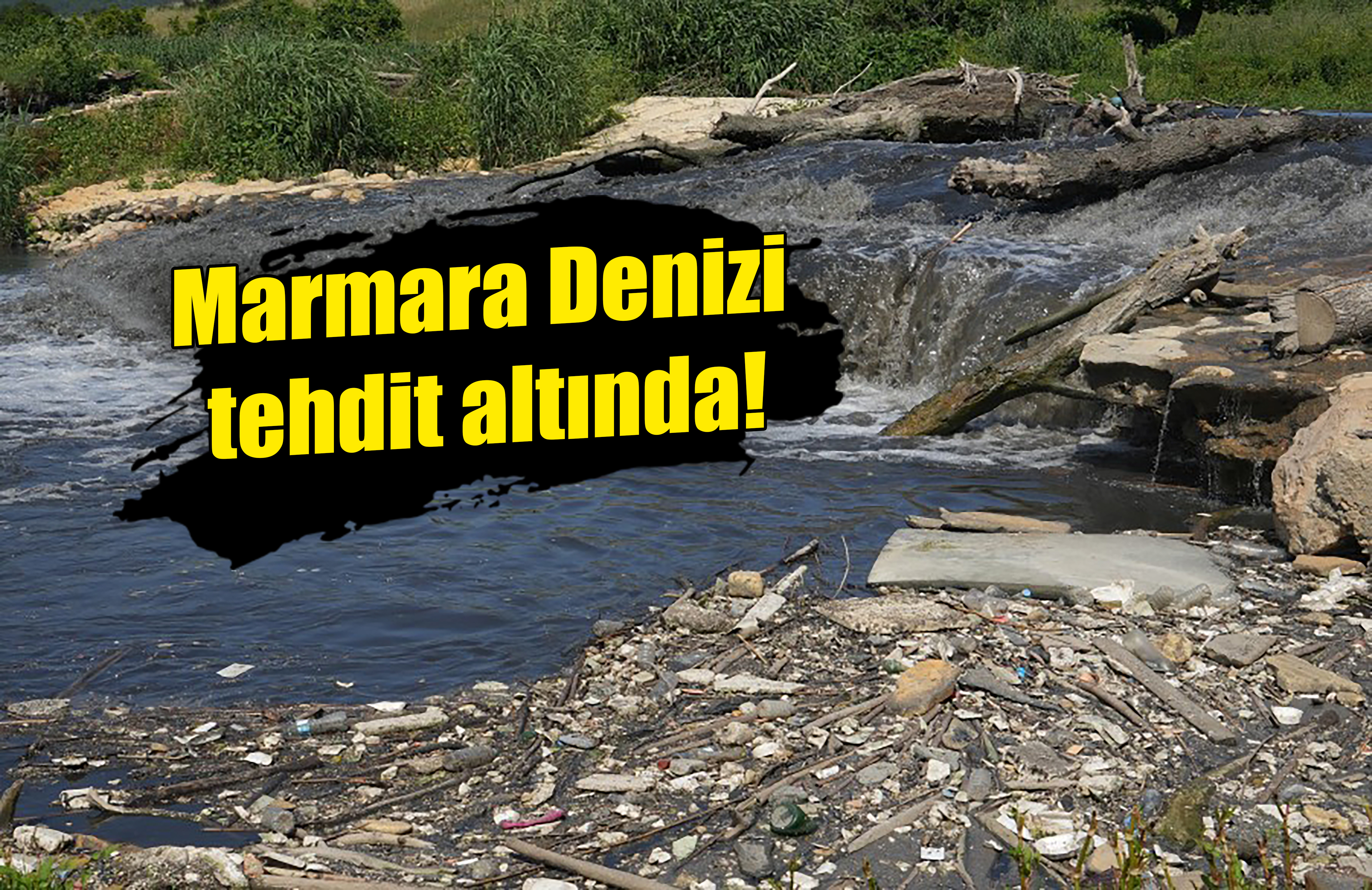 Marmara Denizi tehdit altında!