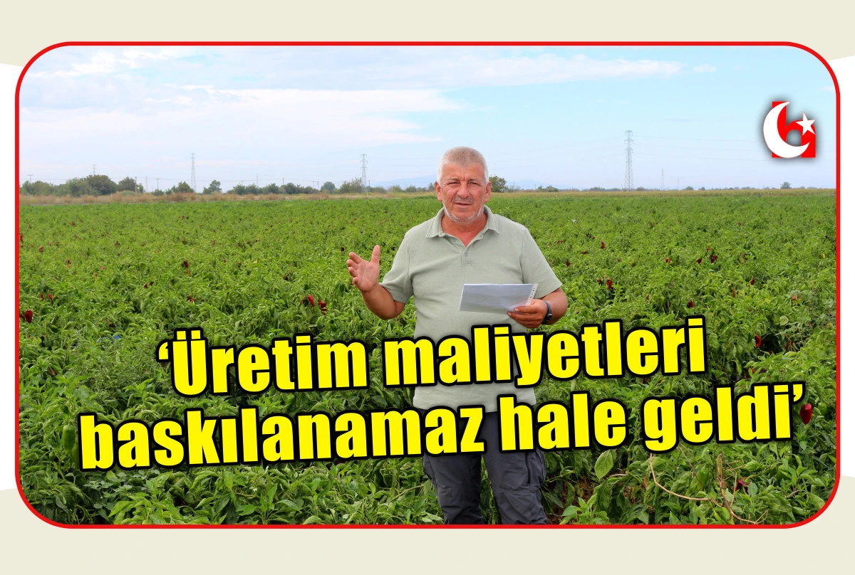 &lsquo;&Uuml;retim maliyetleri baskılanamaz hale geldi&rsquo;