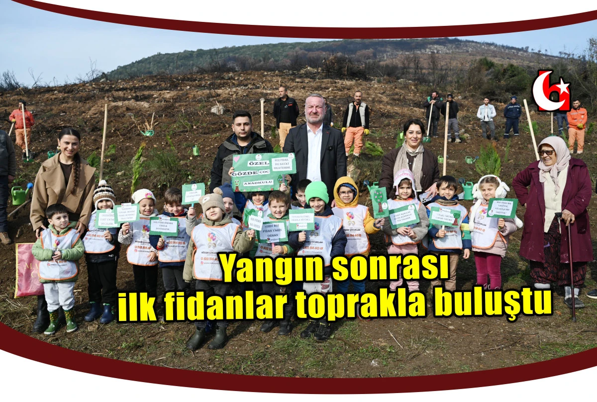 Yangın sonrası ilk fidanlar toprakla buluştu