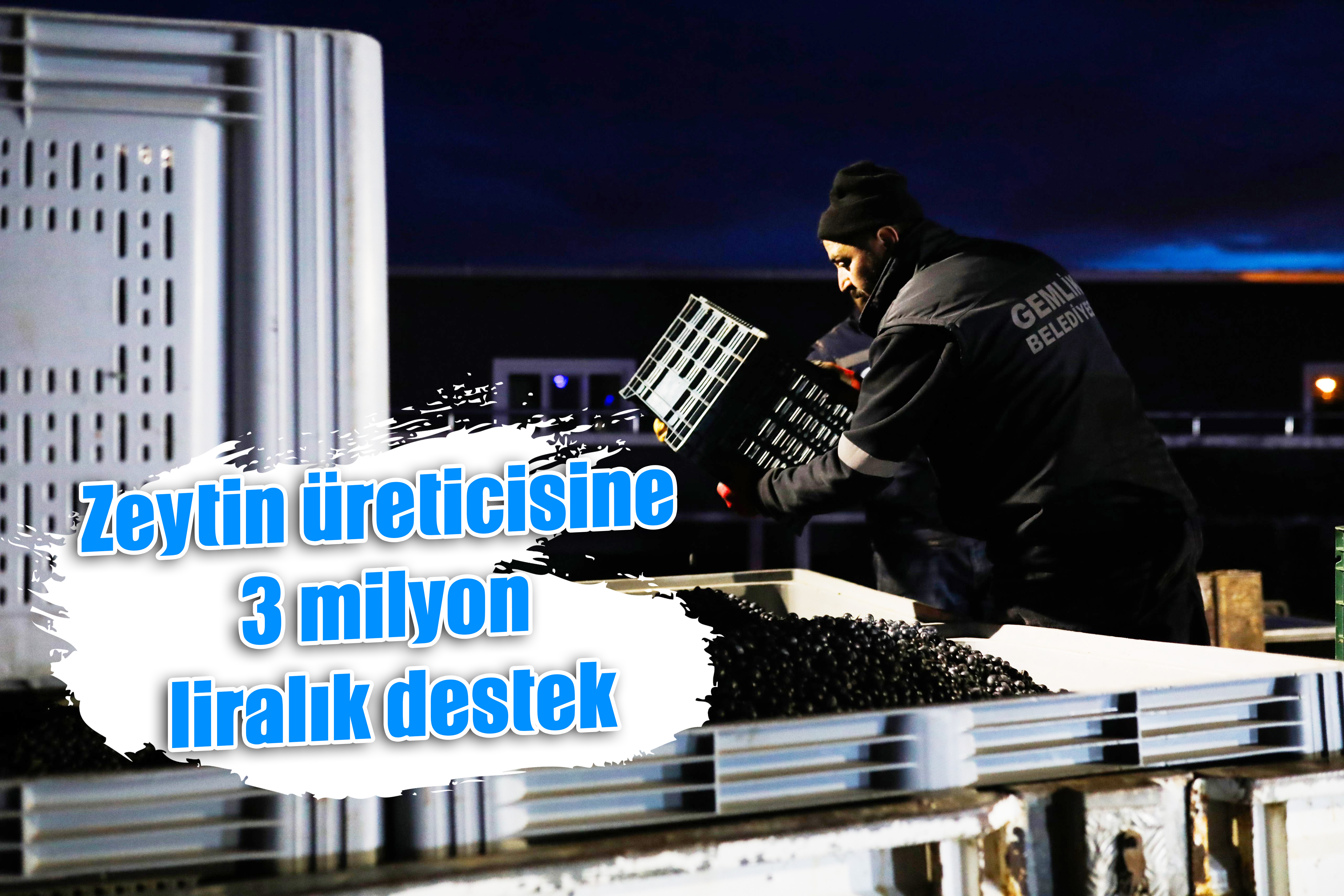 Zeytin Üreticisine 3 Milyon Liralık Destek